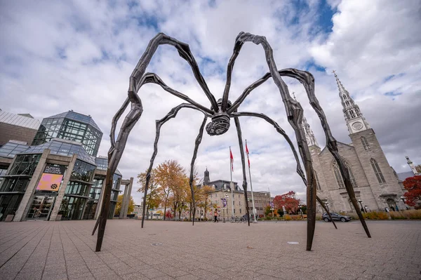 オタワ オンタリオ州 2022年10月19日 オタワのカナダ国立美術館外の男 — ストック写真