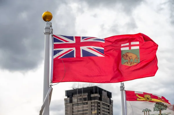 Bandiera Del Manitoba Rinuncia Una Giornata Nuvolosa Canadese — Foto Stock