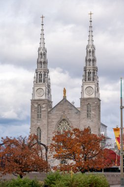 Ottawa, Ontario - 19 Ekim 2022: Notre-Dame Katedrali Basilikası, Kanada 'nın Ottawa kentinde bulunan bir kilisedir..