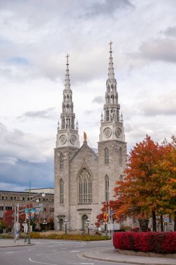 Ottawa, Ontario - 19 Ekim 2022: Notre-Dame Katedrali Basilikası, Kanada 'nın Ottawa kentinde bulunan bir kilisedir..