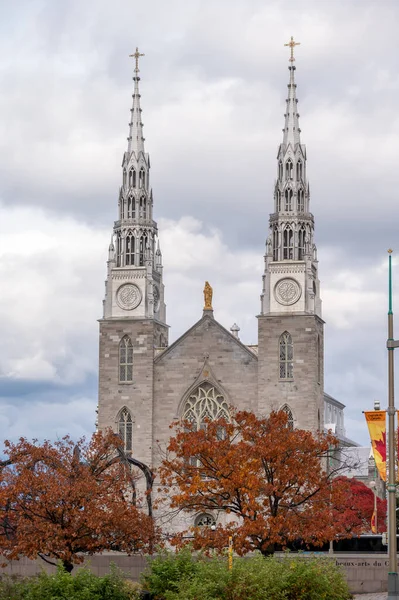 Ottawa Ontario Października 2022 Bazylika Notre Dame Cathedral Bazylika Kościelna — Zdjęcie stockowe