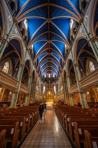2022年10月19日 安大略省渥太华 圣母大教堂 Notre Dame Cathedral Basilica 是位于加拿大渥太华的一座修道院 于1990年被指定为加拿大国家历史遗迹 — 图库照片