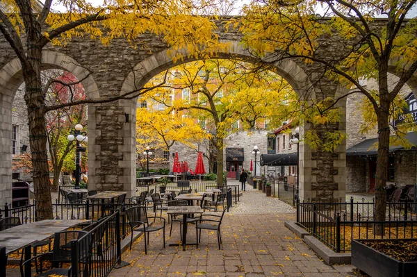 Ottawa Ontario October 2022 Clarendon Tavern Courtyard Restaurant Fall — Stock Photo, Image