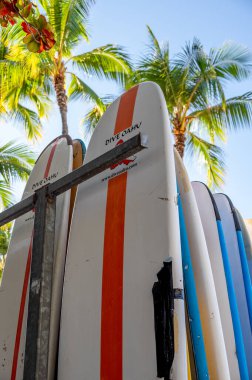 Honolulu, Hawaii - December 26, 2022: Surfboards on Waikiki Beach standing in a rack at a beach rental shop.