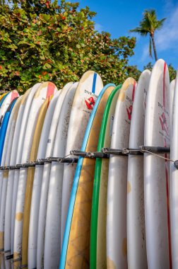 Honolulu, Hawaii - December 29, 2022: Dive Oahu surfboards on Waikiki Beach standing in a rack at a beach rental shop.