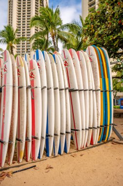 Honolulu, Hawaii - January 1, 2023: Surfboards lined up for rent  in Waikiki.