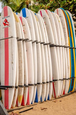 Honolulu, Hawaii - January 1, 2023: Surfboards lined up for rent  in Waikiki.