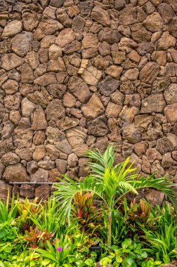Lava rock background for copyspace with plants at bottom.