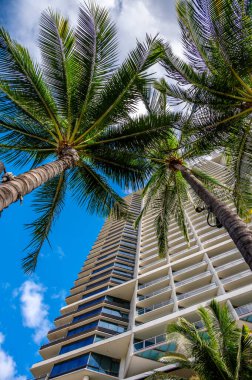 Honolulu, Hawaii - 1 Ocak 2022: Waikiki Sahil Yürüyüşü üzerindeki Trump International Hotel & Tower 'a bakmak.