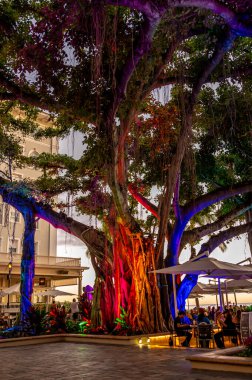 Honolulu, Hawaii - January 2, 2023: Enjoying the late evening on the patio of the landmark Moana Surfrider.