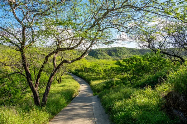 View of the hiking path inside the Diamond Head crater at Diamond Head State Monument.