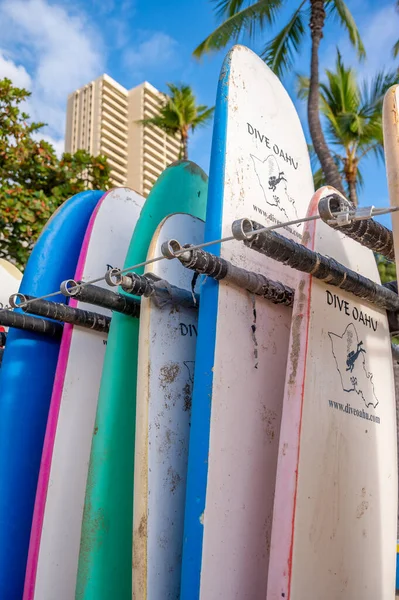 Honolulu Hawaii December 2022 Dive Oahu Surfboards Waikiki Beach Standing — Φωτογραφία Αρχείου