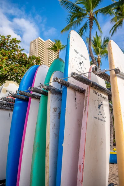 Honolulu Hawaii December 2022 Dive Oahu Surfboards Waikiki Beach Standing — Φωτογραφία Αρχείου