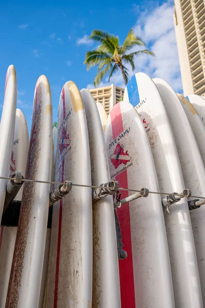 Honolulu Hawaii December 2022 Dive Oahu Surfboards Waikiki Beach Standing — Stock Fotó