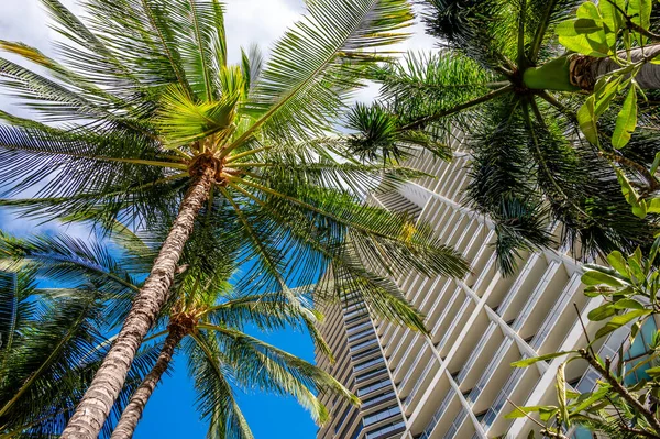 ハワイ州ホノルル 2022年1月1日 ワイキキビーチウォークのトランプインターナショナルホテル タワーを見上げる — ストック写真