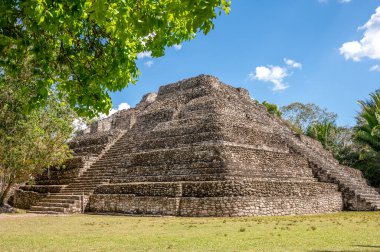 Chacchoben 'in antik Maya harabeleri Costa Maya' daki gemi terminalinin yanındaki ormanda..