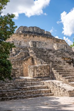 Chacchoben 'in antik Maya harabeleri Costa Maya' daki gemi terminalinin yanındaki ormanda..