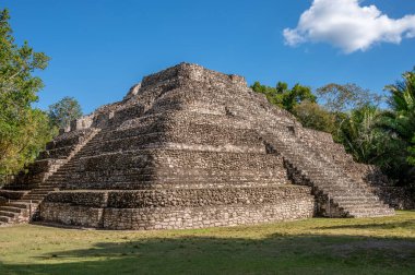 Chacchoben 'in antik Maya harabeleri Costa Maya' daki gemi terminalinin yanındaki ormanda..