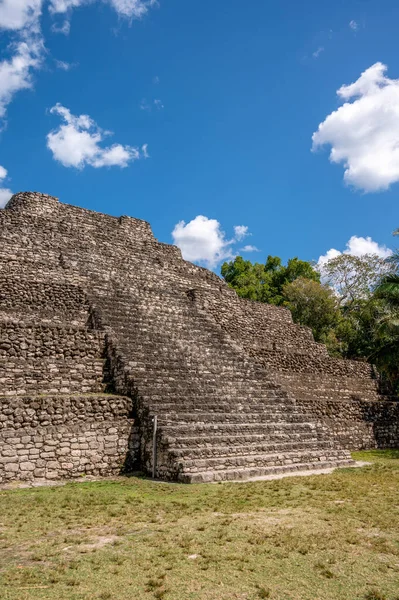 古代マヤ遺跡コスタマヤのクルーズターミナル近くのジャングルのChacchoben — ストック写真