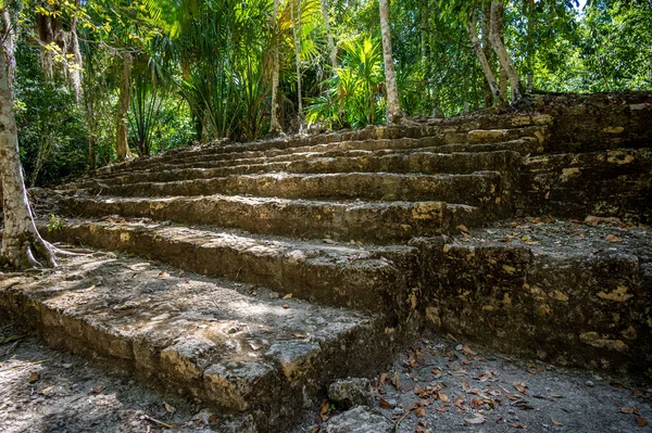 Anciennes Ruines Mayas Chacchoben Dans Jungle Près Terminal Croisière Costa — Photo