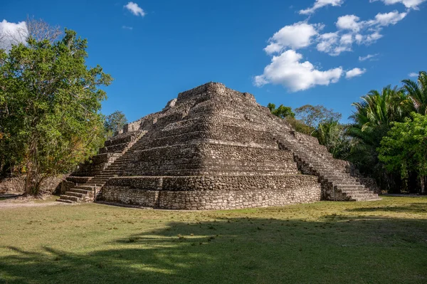 Starożytne Ruiny Majów Chacchoben Dżungli Pobliżu Terminalu Rejsowego Costa Maya — Zdjęcie stockowe