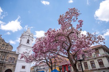 Panama Şehri, Panama - 1 Nisan 2023: Panama şehrinin muhteşem Eski Çeyreğindeki Santa Maria Başkent Katedrali.