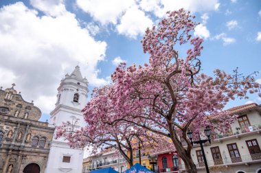 Panama Şehri, Panama - 1 Nisan 2023: Panama şehrinin muhteşem Eski Çeyreğindeki Santa Maria Başkent Katedrali.