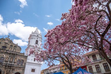 Panama Şehri, Panama - 1 Nisan 2023: Panama şehrinin muhteşem Eski Çeyreğindeki Santa Maria Başkent Katedrali.