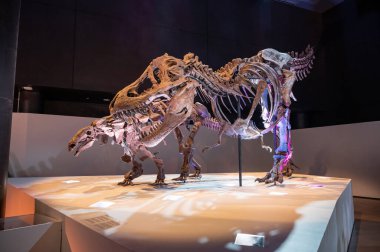 Houston, Teksas - 7 Nisan 2023: Dinazor Houston Doğal Bilim Müzesi 'nde sergileniyor.