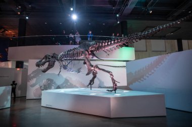 Houston, Teksas - 7 Nisan 2023: Dinazor Houston Doğal Bilim Müzesi 'nde sergileniyor.