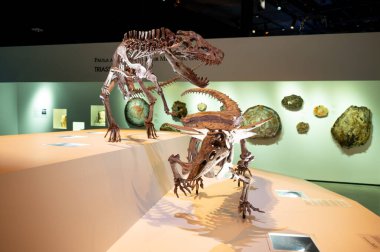 Houston, Teksas - 7 Nisan 2023: Dinazor Houston Doğal Bilim Müzesi 'nde sergileniyor.