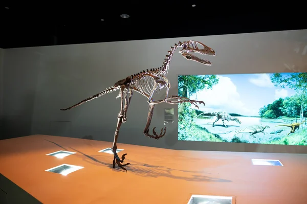 休斯敦 2023年4月7日 休斯敦自然科学博物馆的恐龙展览 — 图库照片