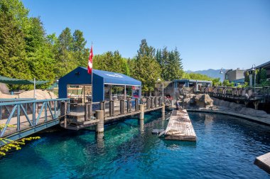 Vancouver, British Columbia - 26 Mayıs 2023: Vancouver Akvaryumu 'nun içinde.