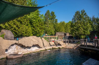 Vancouver, British Columbia - 26 Mayıs 2023: Vancouver Akvaryumu 'nun içinde.