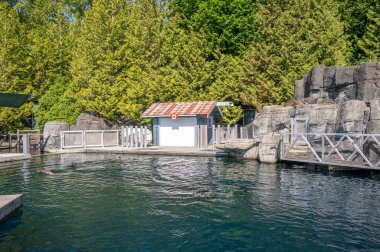 Vancouver, British Columbia - 26 Mayıs 2023: Vancouver Akvaryumu 'nun içinde.