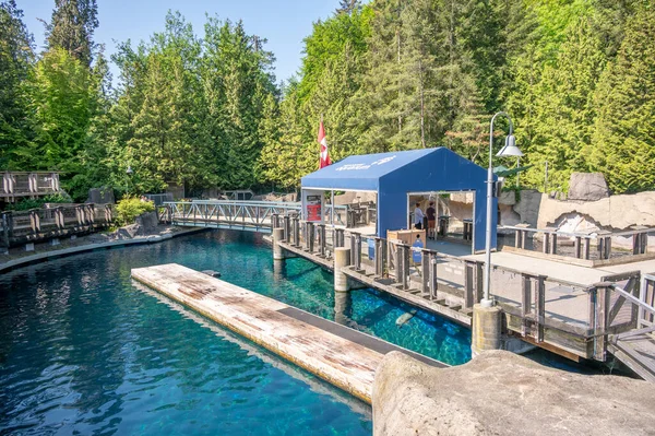 Vancouver British Columbia Maj 2023 Inuti Den Populära Vancouver Aquarium — Stockfoto