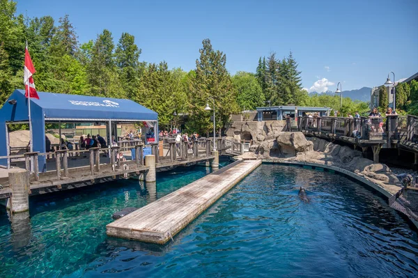 stock image Vancouver, British Columbia - May 26, 2023: Inside the popular Vancouver Aquarium attraction.