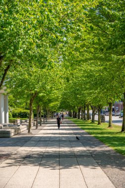Vancouver, British Columbia - 27 Mayıs 2023: Vancouver 'ın batısındaki güzel sokak manzaraları.