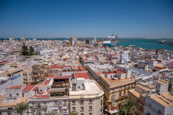 Madártávlat Gyönyörű Óvárosa Cadiz Katedrális Szempontjából — Stock Fotó
