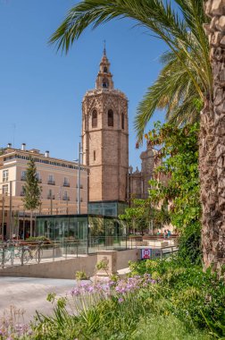 Valencia, İspanya - 25 Temmuz 2023: Güzel Plaza de la Reina, İspanya.