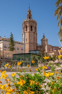Valencia, İspanya - 25 Temmuz 2023: Güzel Plaza de la Reina, İspanya.