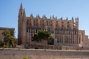 Palma de Mallorca, İspanya - 28 Temmuz 2023: Palma 'daki Santa Maria de Majorica' nın inanılmaz gotik katedrali.