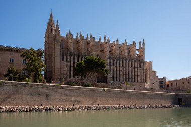 Palma de Mallorca, İspanya - 28 Temmuz 2023: Palma 'daki Santa Maria de Majorica' nın inanılmaz gotik katedrali.