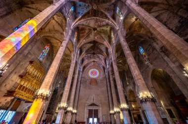 Palma de Mallorca, İspanya - 28 Temmuz 2023: Palma 'daki Santa Maria de Majorica' nın inanılmaz gotik katedrali.