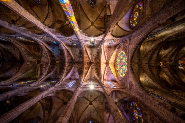 Palma de Mallorca, İspanya - 28 Temmuz 2023: Palma 'daki Santa Maria de Majorica' nın inanılmaz gotik katedrali.