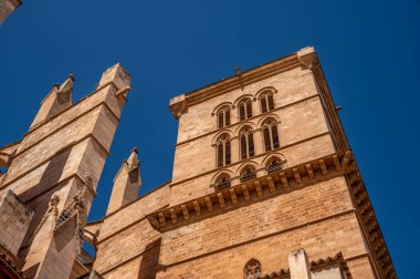 Palma de Mallorca, İspanya - 28 Temmuz 2023: Palma 'daki Santa Maria de Majorica' nın inanılmaz gotik katedrali.
