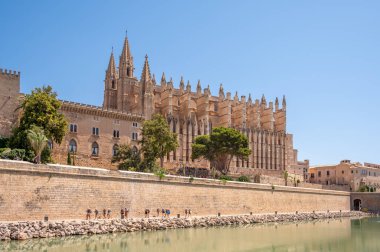 Palma de Mallorca, İspanya - 28 Temmuz 2023: Palma 'daki Santa Maria de Majorica' nın inanılmaz gotik katedrali.