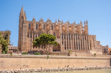 Palma de Mallorca, İspanya - 28 Temmuz 2023: Palma 'daki Santa Maria de Majorica' nın inanılmaz gotik katedrali.
