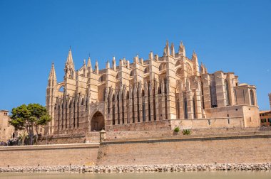 Palma de Mallorca, İspanya - 28 Temmuz 2023: Palma 'daki Santa Maria de Majorica' nın inanılmaz gotik katedrali.