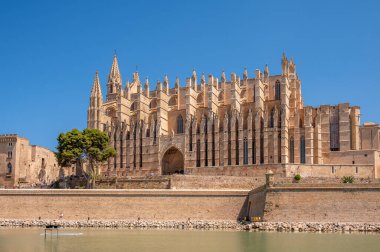 Palma de Mallorca, İspanya - 28 Temmuz 2023: Palma 'daki Santa Maria de Majorica' nın inanılmaz gotik katedrali.